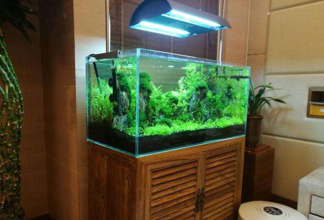 搬運(yùn)魚缸